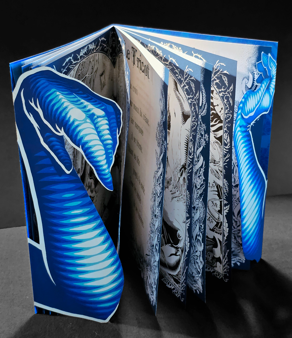 LiV LessiM - livre sérigraphié