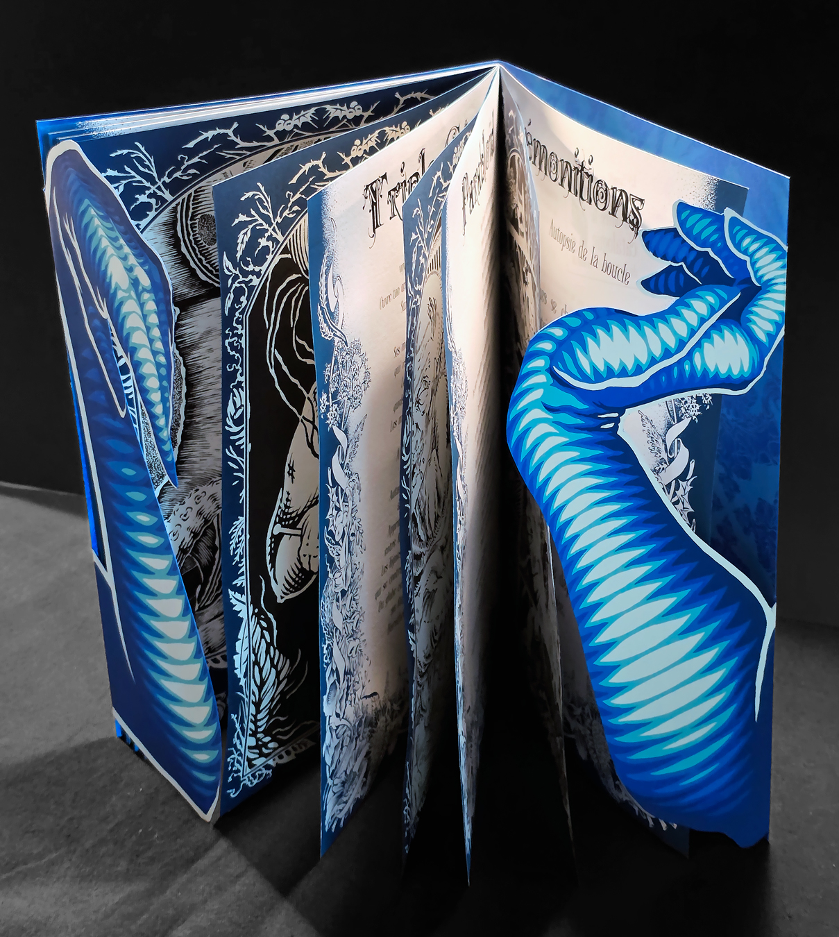 LiV LessiM - livre sérigraphié