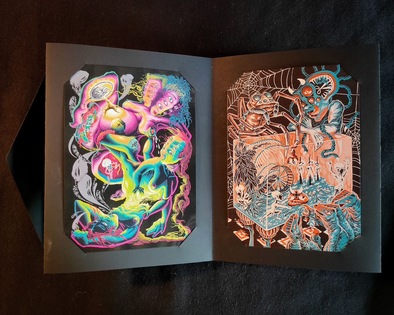 SUTURE - leporello